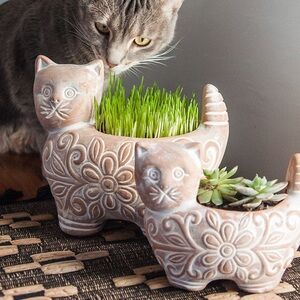Garden Kitty Large Planter